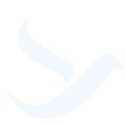 Freebird Airlines Flight Services GmbH