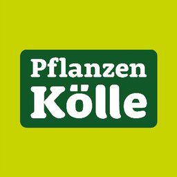 Pflanzen-Kölle Gartencenter GmbH & Co. KG 3.2 out of 5