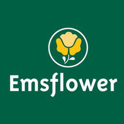 Emsflower GmbH