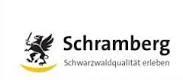 Große Kreisstadt Schramberg